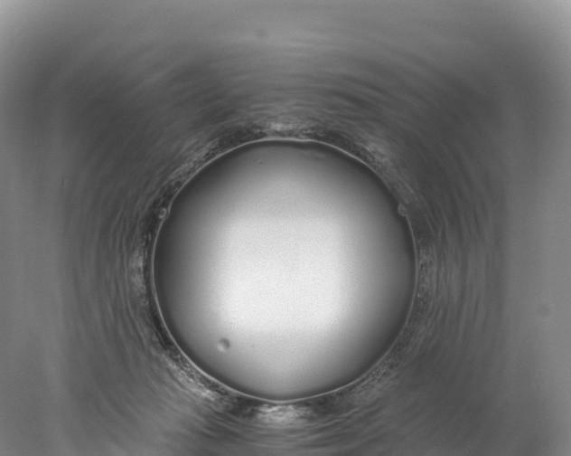 X0000077990269200611171802