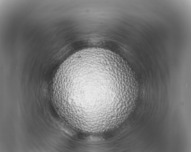 X0000077990270200611171802