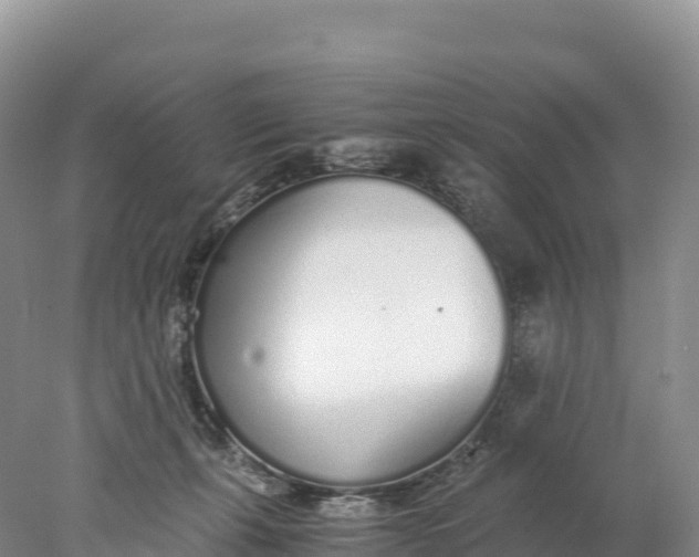 X0000077990271200611171802