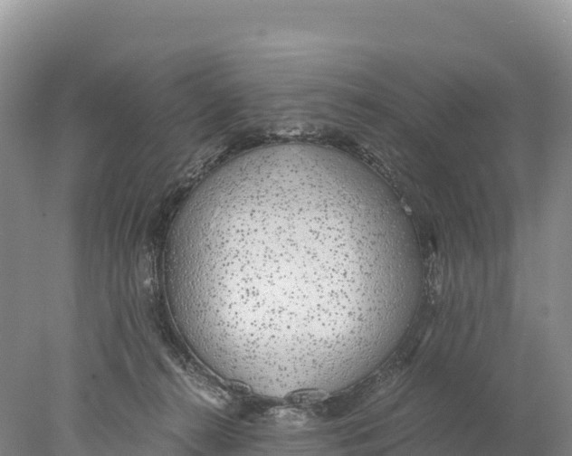 X0000077990272200611171802