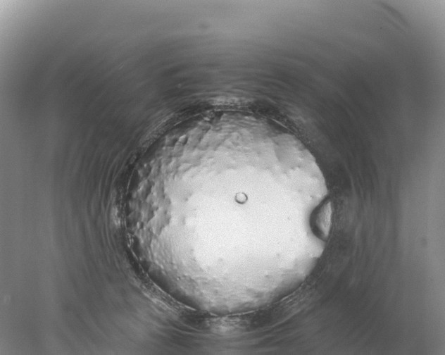 X0000077990273200611171802