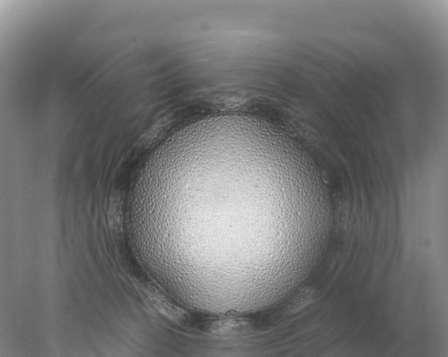 X0000077990274200611171802