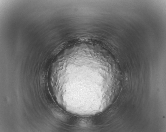 X0000077990275200611171802