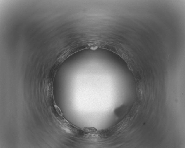 X0000077990276200611171802