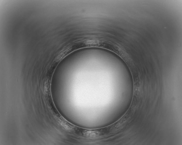 X0000077990277200611171802