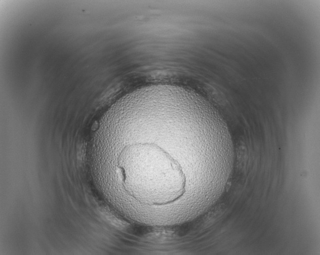 X0000077990278200611171802