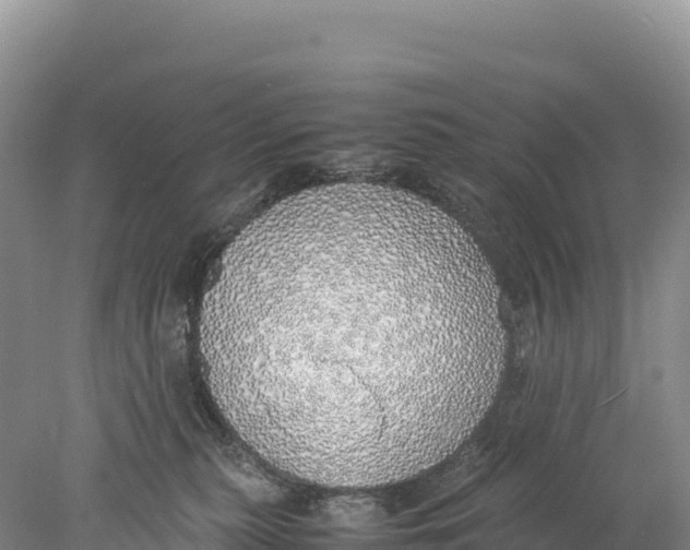 X0000077990279200611171802