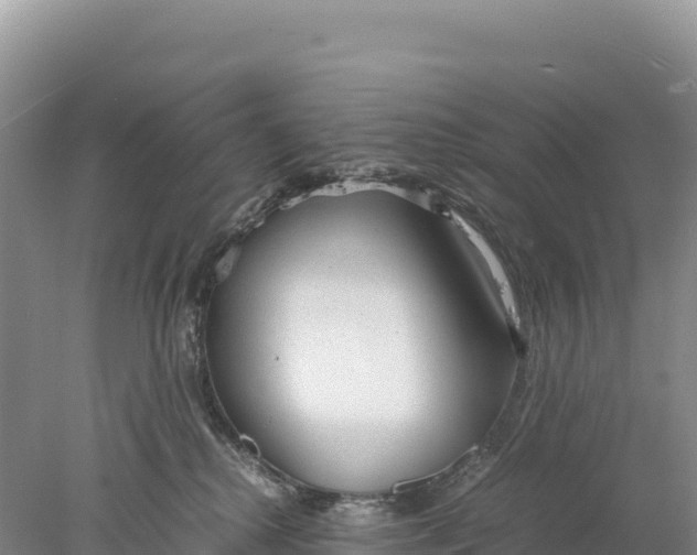 X0000077990280200611171802