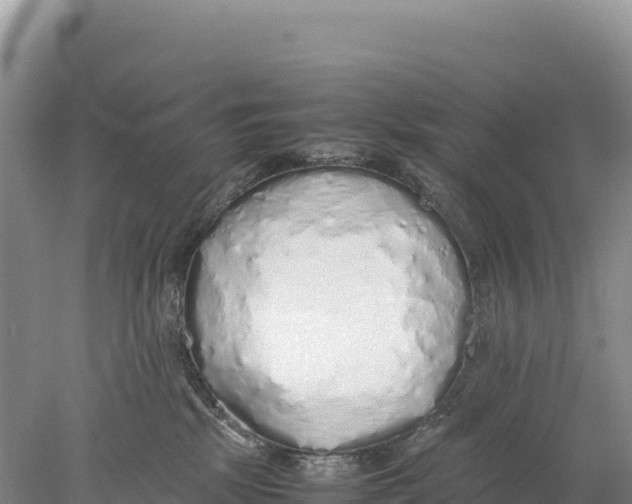 X0000077990281200611171802