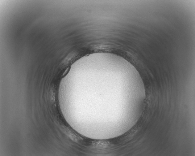 X0000077990282200611171802