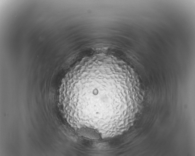 X0000077990283200611171802