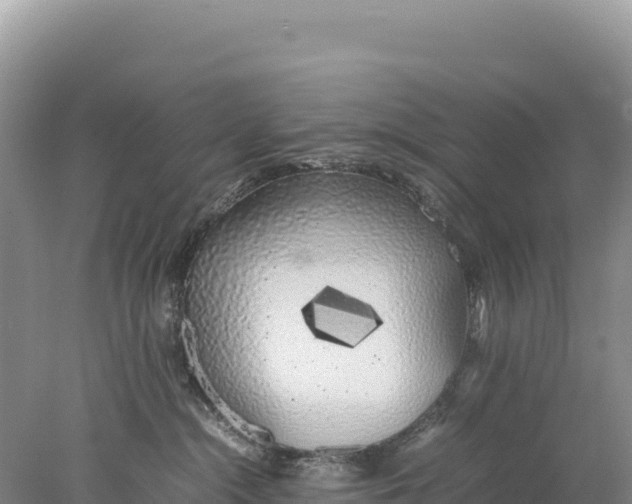 X0000077990284200611171802