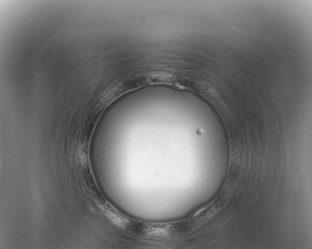 X0000077990285200611171802