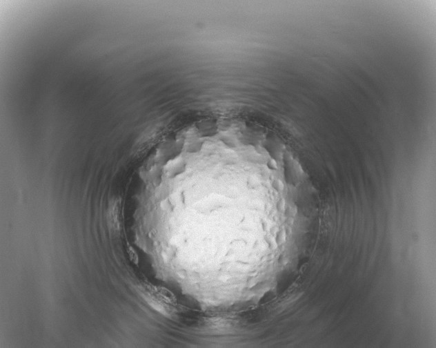 X0000077990286200611171802