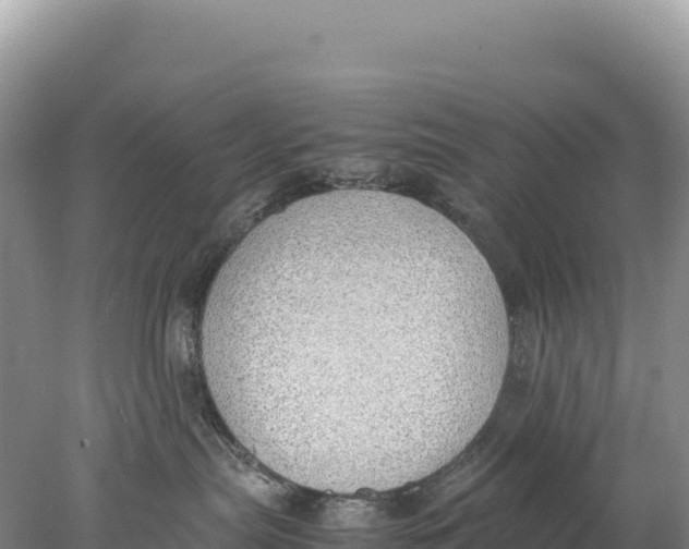 X0000077990287200611171802