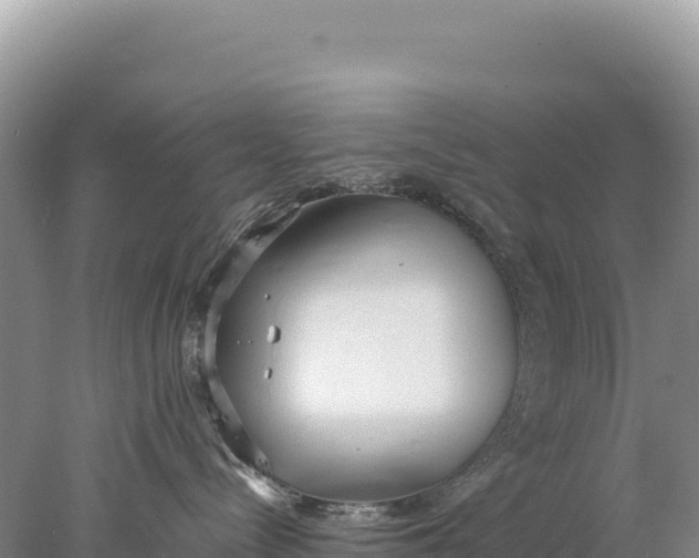 X0000077990288200611171802