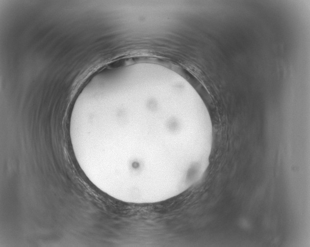 X0000077990289200611171802