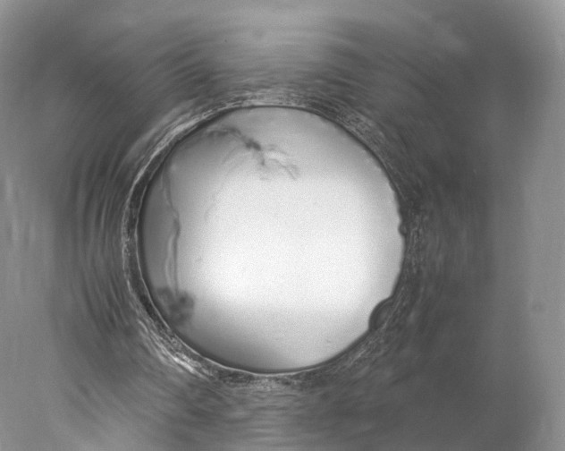 X0000077990290200611171802