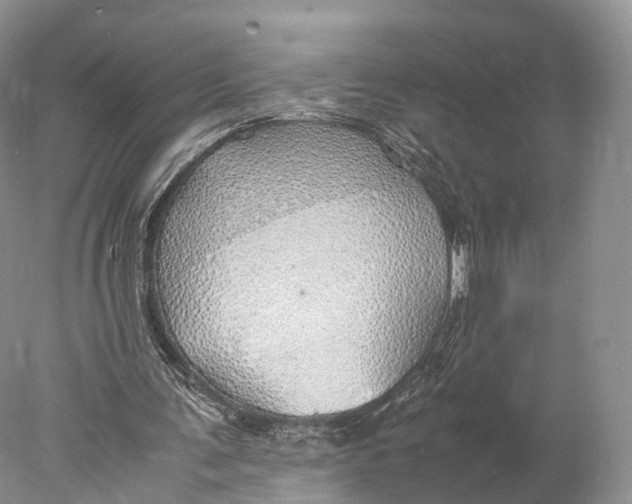 X0000077990291200611171802