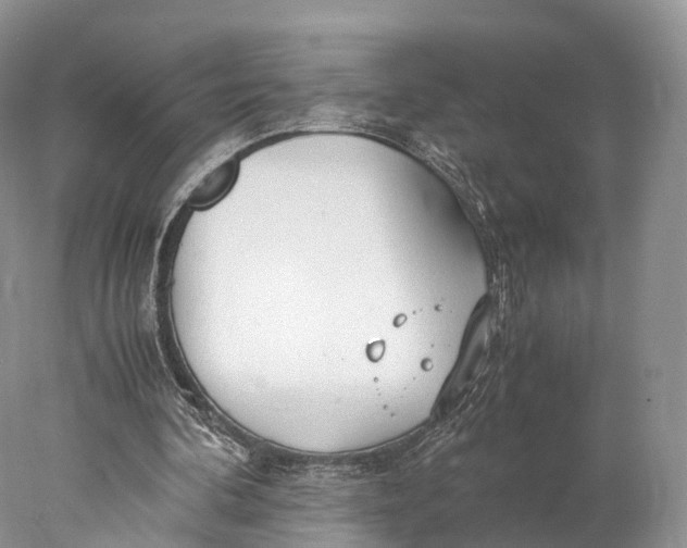 X0000077990292200611171802