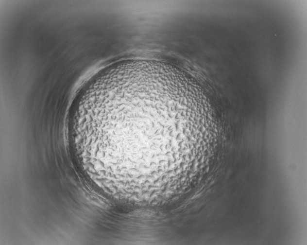 X0000077990294200611171801