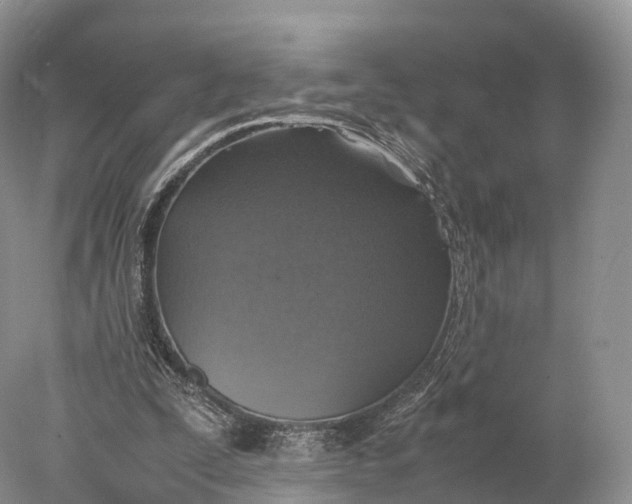 X0000077990295200611171801