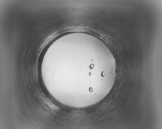 X0000077990296200611171801