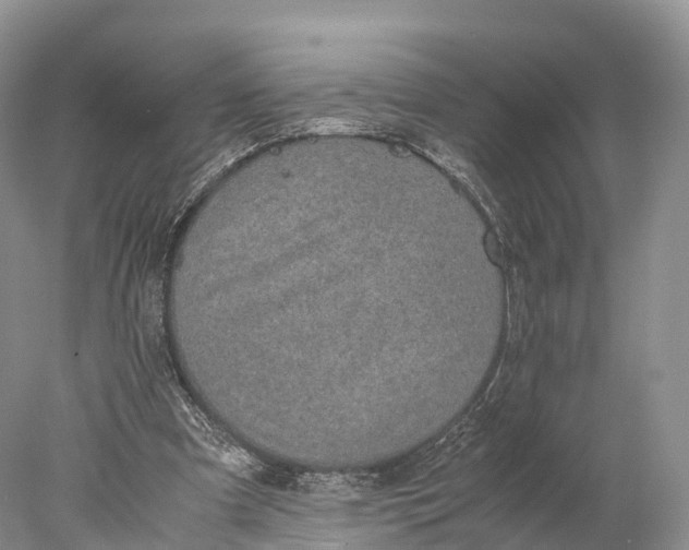 X0000077990297200611171801