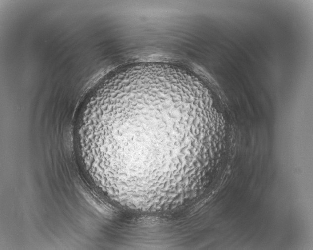 X0000077990298200611171801