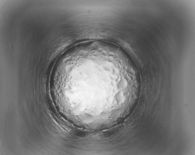 X0000077990299200611171801