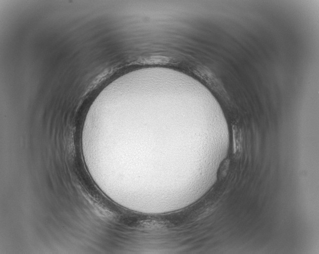 X0000077990300200611171801