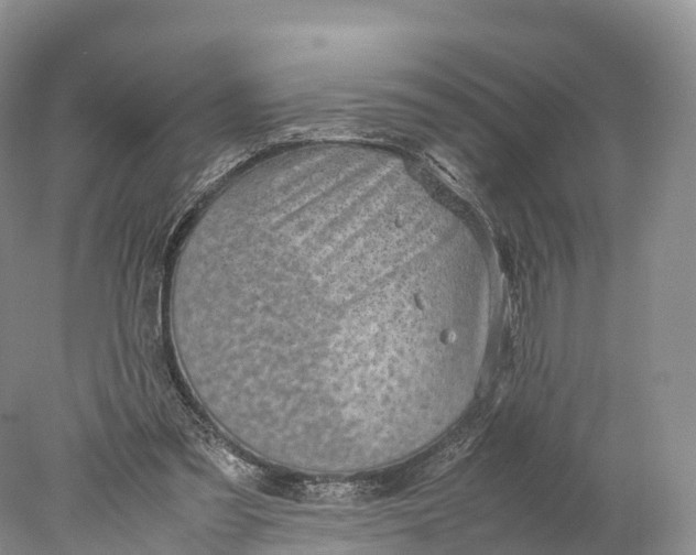 X0000077990301200611171801