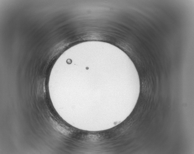 X0000077990302200611171801