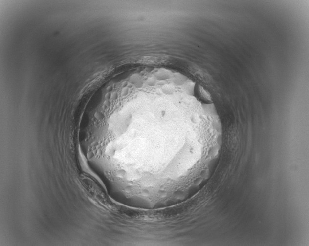 X0000077990303200611171801