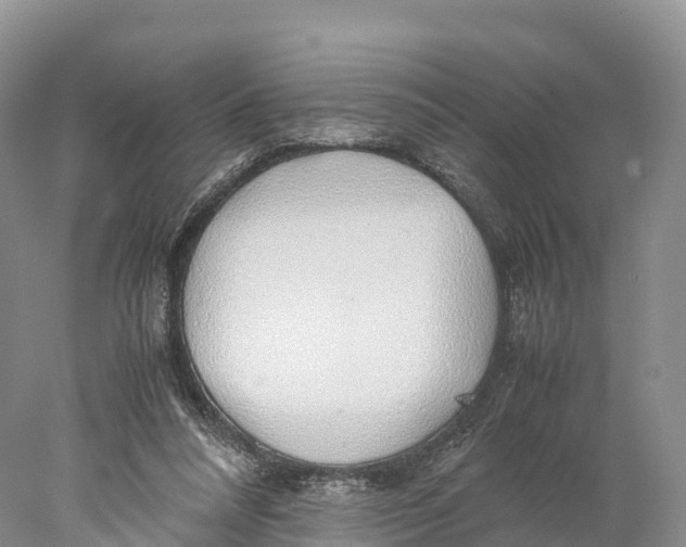 X0000077990304200611171801