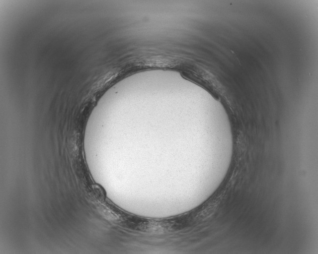 X0000077990305200611171801