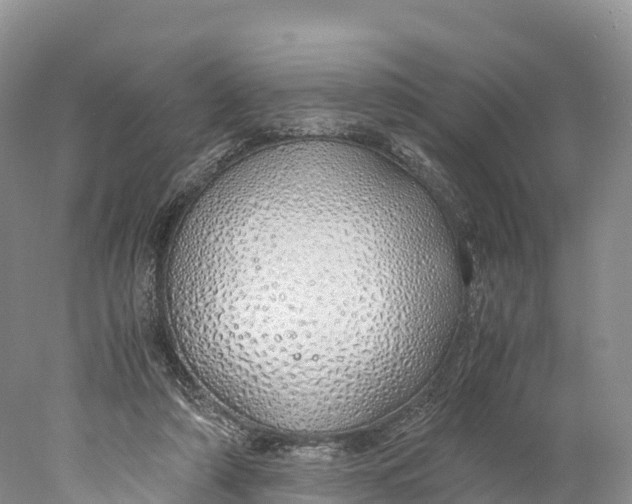 X0000077990306200611171801