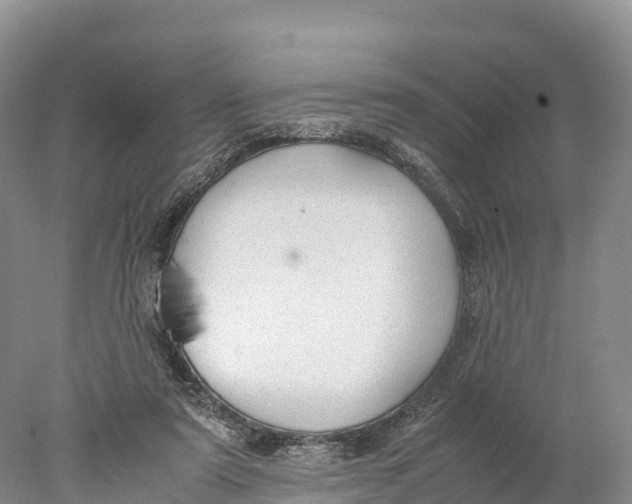 X0000077990307200611171801