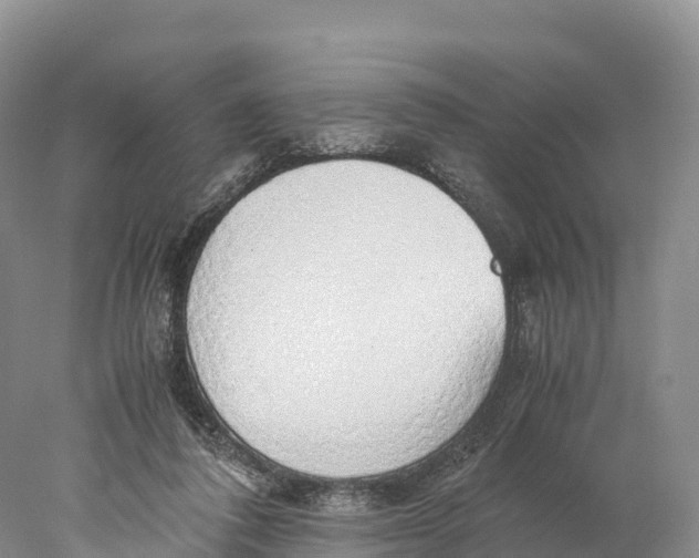 X0000077990308200611171801