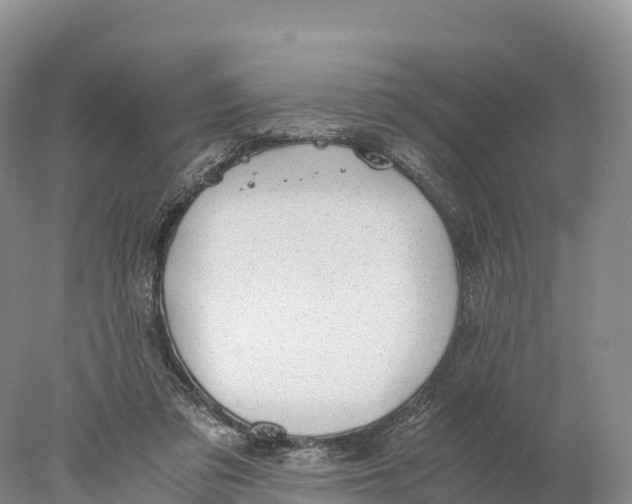 X0000077990309200611171801