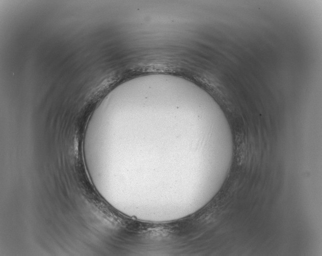 X0000077990310200611171801