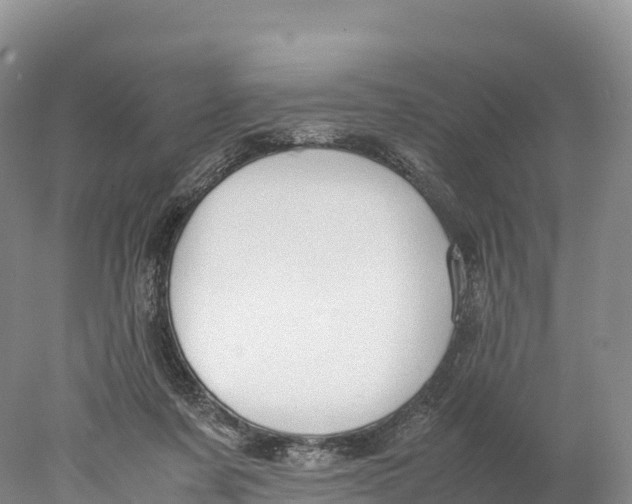 X0000077990311200611171801