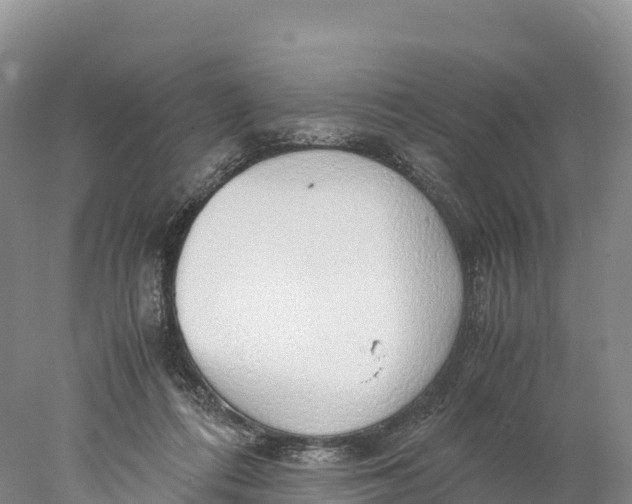 X0000077990312200611171801