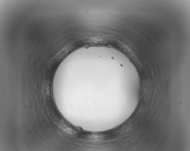 X0000077990313200611171801