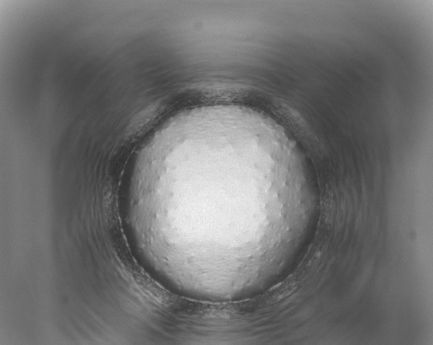 X0000077990314200611171801