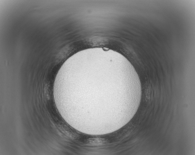 X0000077990316200611171801