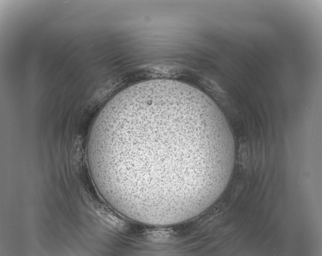 X0000077990318200611171801