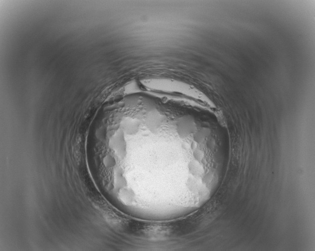 X0000077990319200611171801