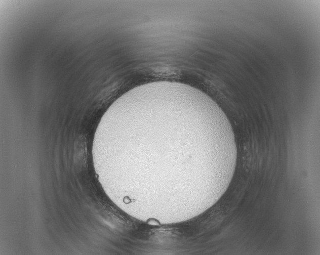 X0000077990320200611171801