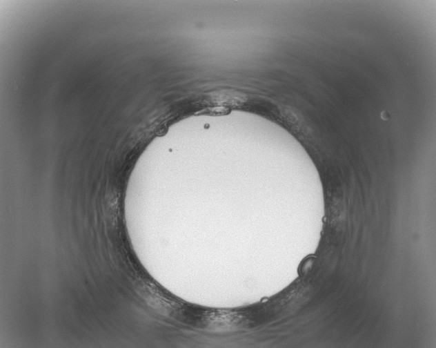 X0000077990321200611171801